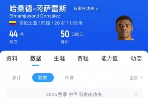 石家庄功夫外援谈胡靖：对手被救助苏醒，这比比赛更为重要